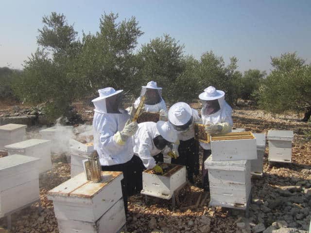 Beehives Hands-on Training-Al Kafryat WB