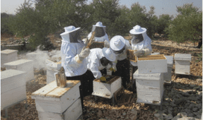 Beehives Hands-on Training-Al Kafryat WB