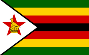 international day of action Zimbabwe