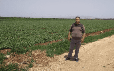 Palestinian farmers