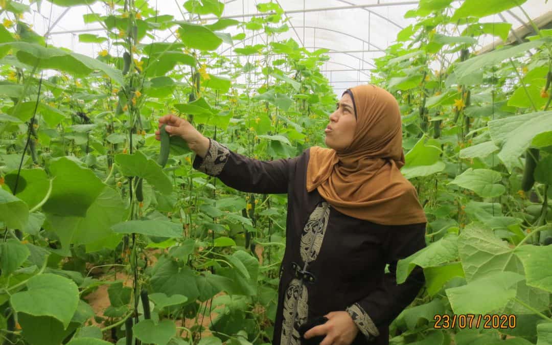 Palestinian woman challenges stereotype that “Farmers are only men”